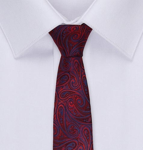 Men Maroon & Blue Printed Broad Tie